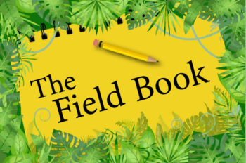 The fileld book
