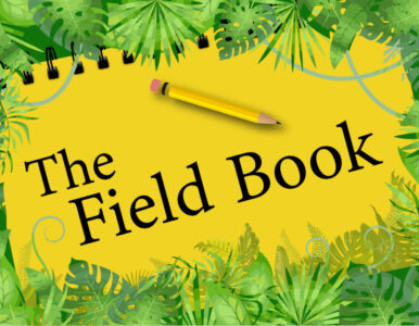 The fileld book